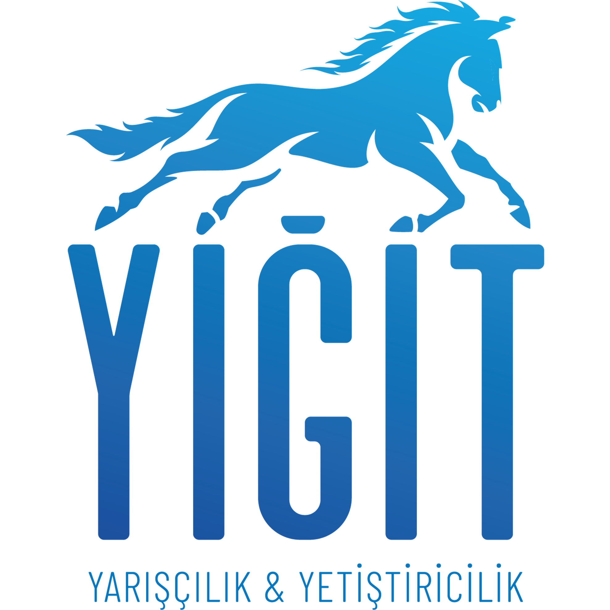 Yigit Stud | Yarışçılık ve Yetiştiricilik